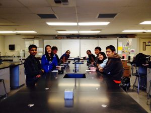 The 8 finalists from left to right: junior Rohan Narayan, sophomore Cathy Wang, junior Shea Conlon, freshman Anjali Walia, freshman Anushka Walia, sophomore Alan Tan, junior Kelsey Ichikawa, and sophomore Justin Wang