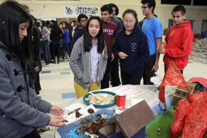 Happy Mardi Gras! A photo gallery of Irvingtons celebration.