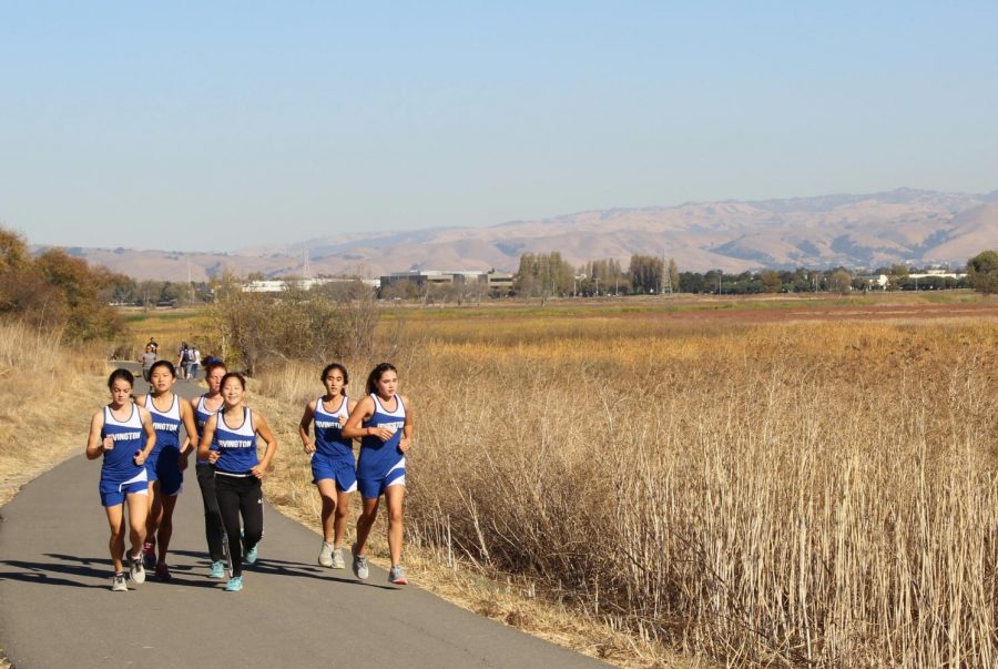 Irvington’s Cross Country Varsity Girls warming up to race against Kennedy. 