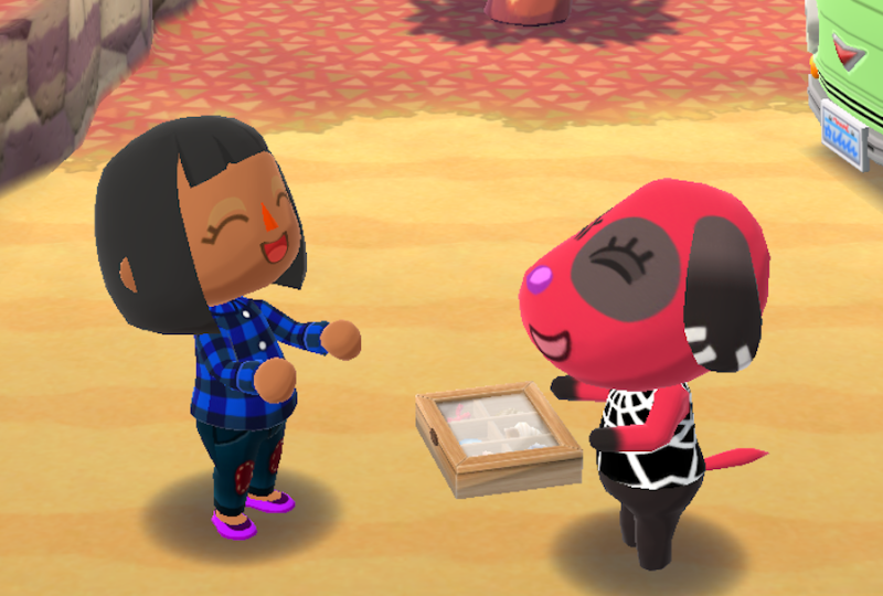 Here is Cherry showing off her shell collections to a player, who really was the person who collected all the shells for her, while Cherry shamelessly goes to her campsite and sleeps in her bed. 
