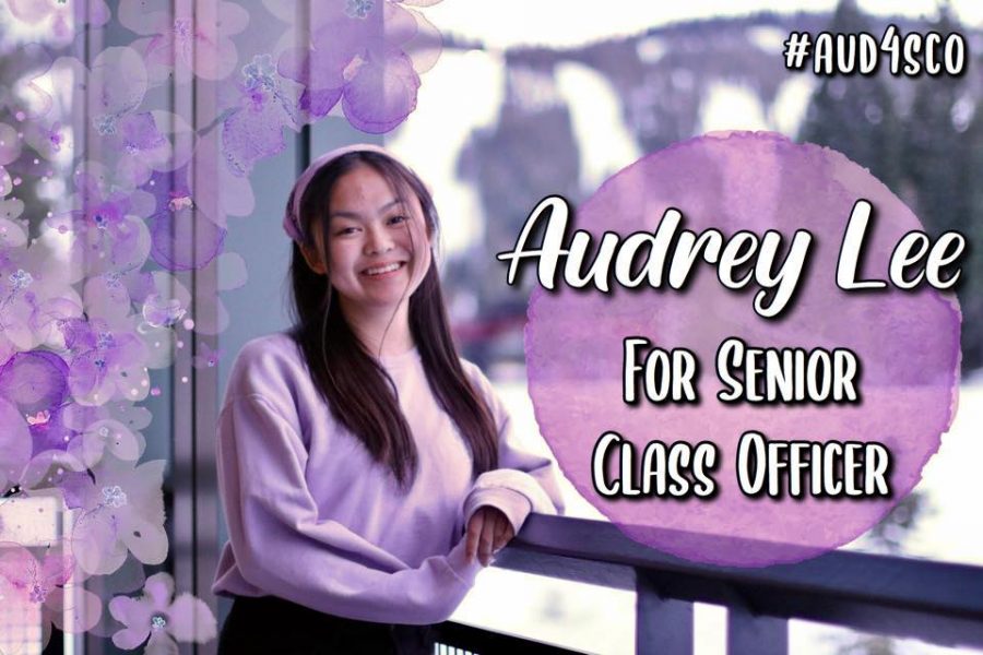 Candidate Audrey Lee
