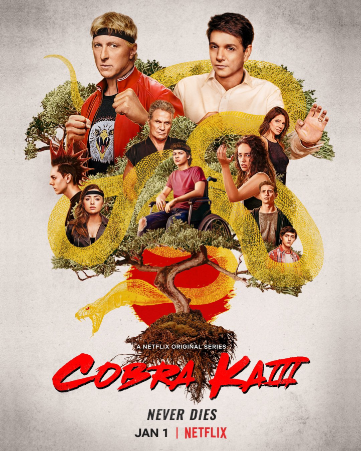 Cobra Kai Season 3 Review