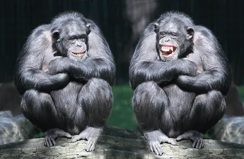 Two Irvington students using body language to discuss their classes as a result of being unable to speak.
