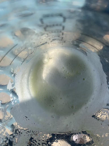 Green mold grows on top of the chocolate milk after being left out past lunch period. 