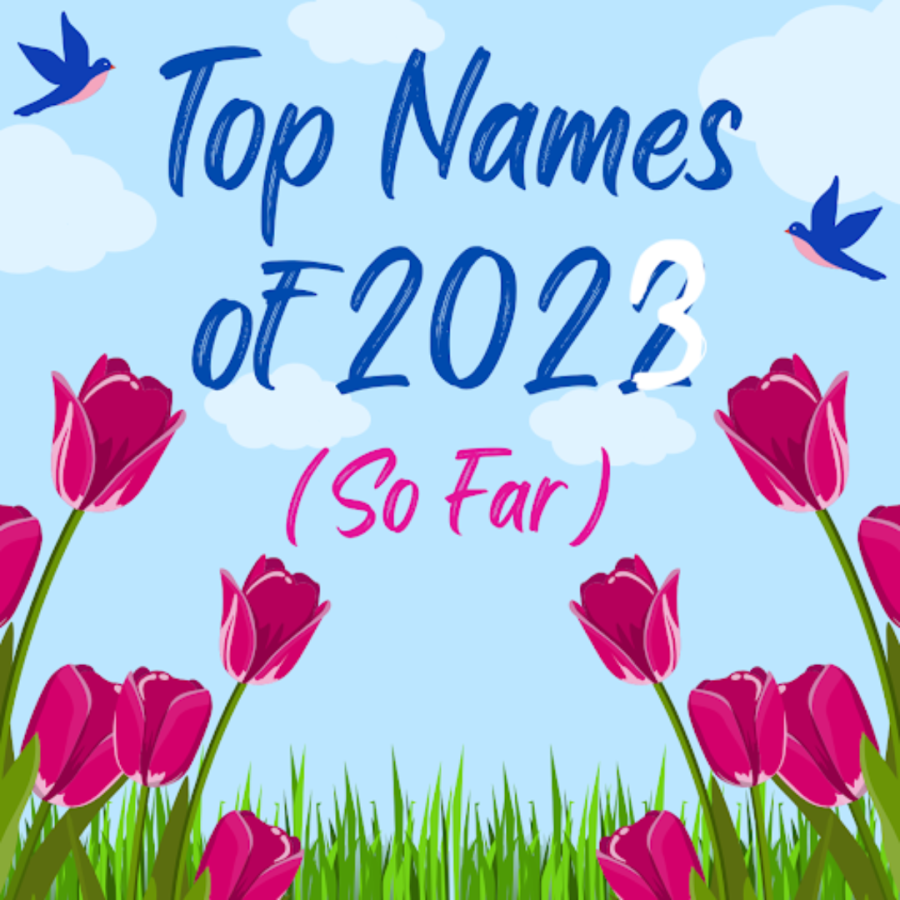 Baby+Names+of+2023