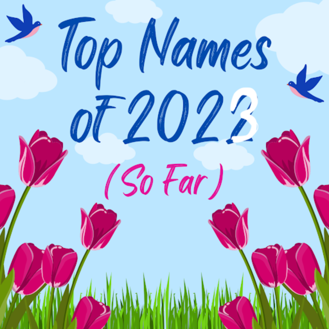 baby-names-of-2023-the-irvington-voice