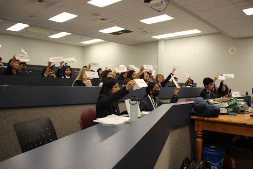 Delegates raise their placards for an opportunity to address the Social, Humanitarian, and Cultural Committee. 