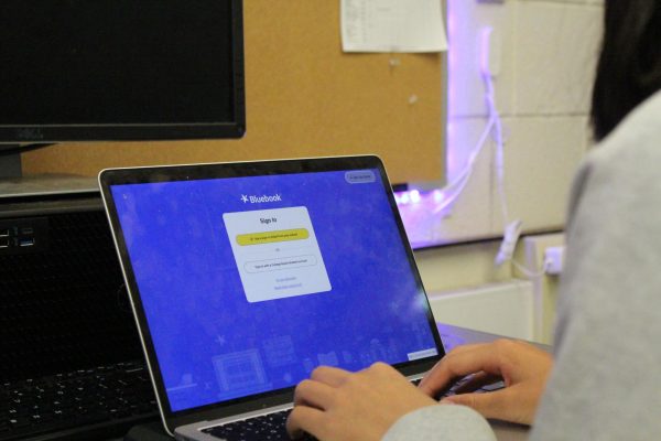 A student uses the Bluebook application, College Board’s new testing app for the digital PSAT, SAT, and AP tests.
