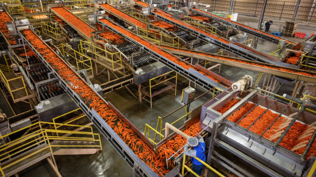  An industrial food processing center
Photo Credit: NY times 
