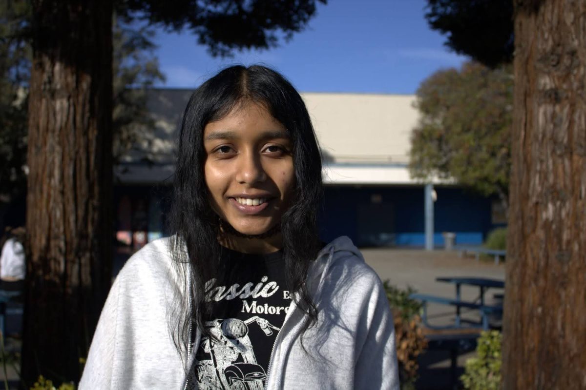 Myna Ramanathan (11)