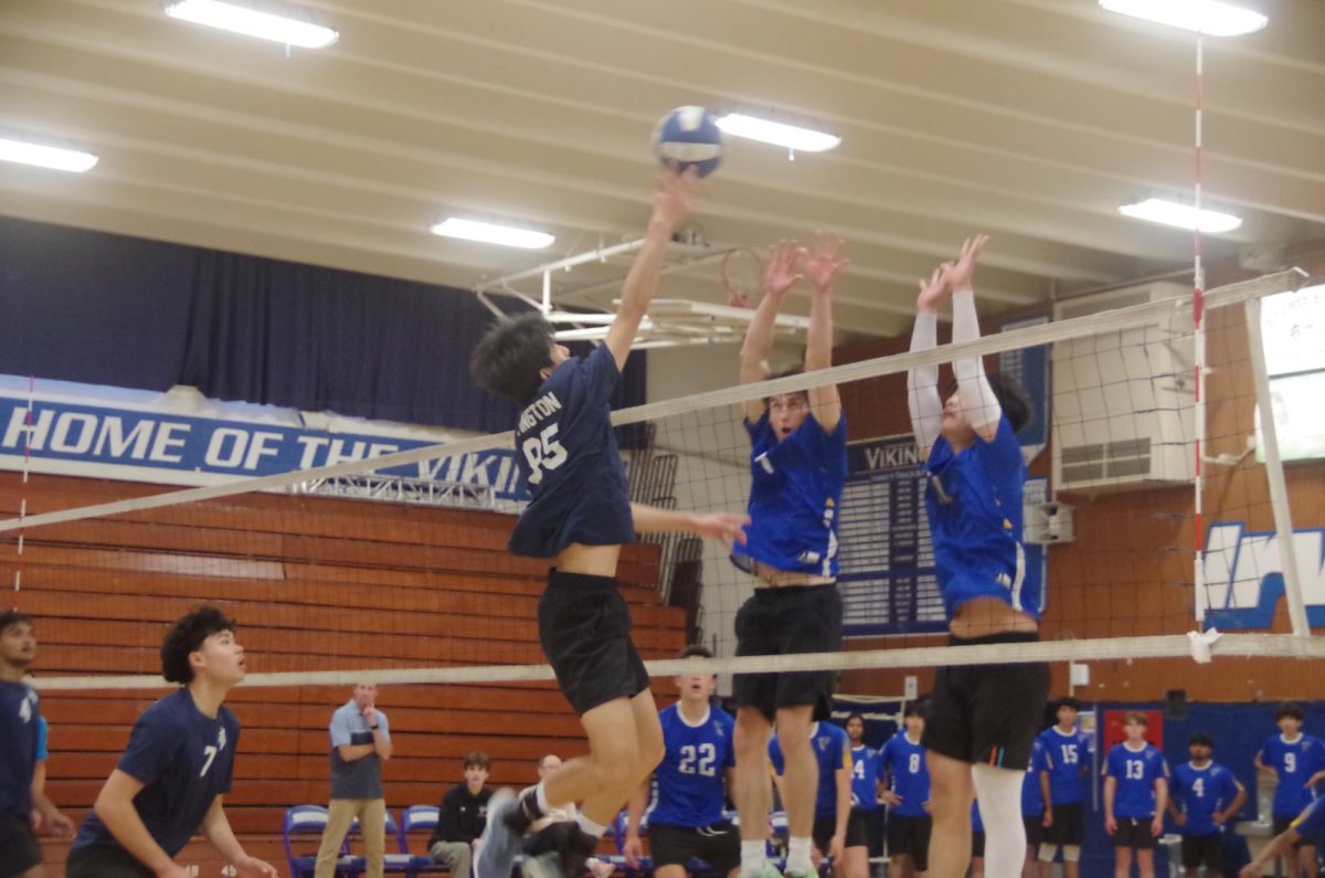 The team’s 13-1 record led them to securing the MVAL championship.