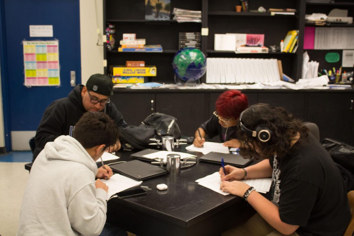 SDC students diligently work together in class.